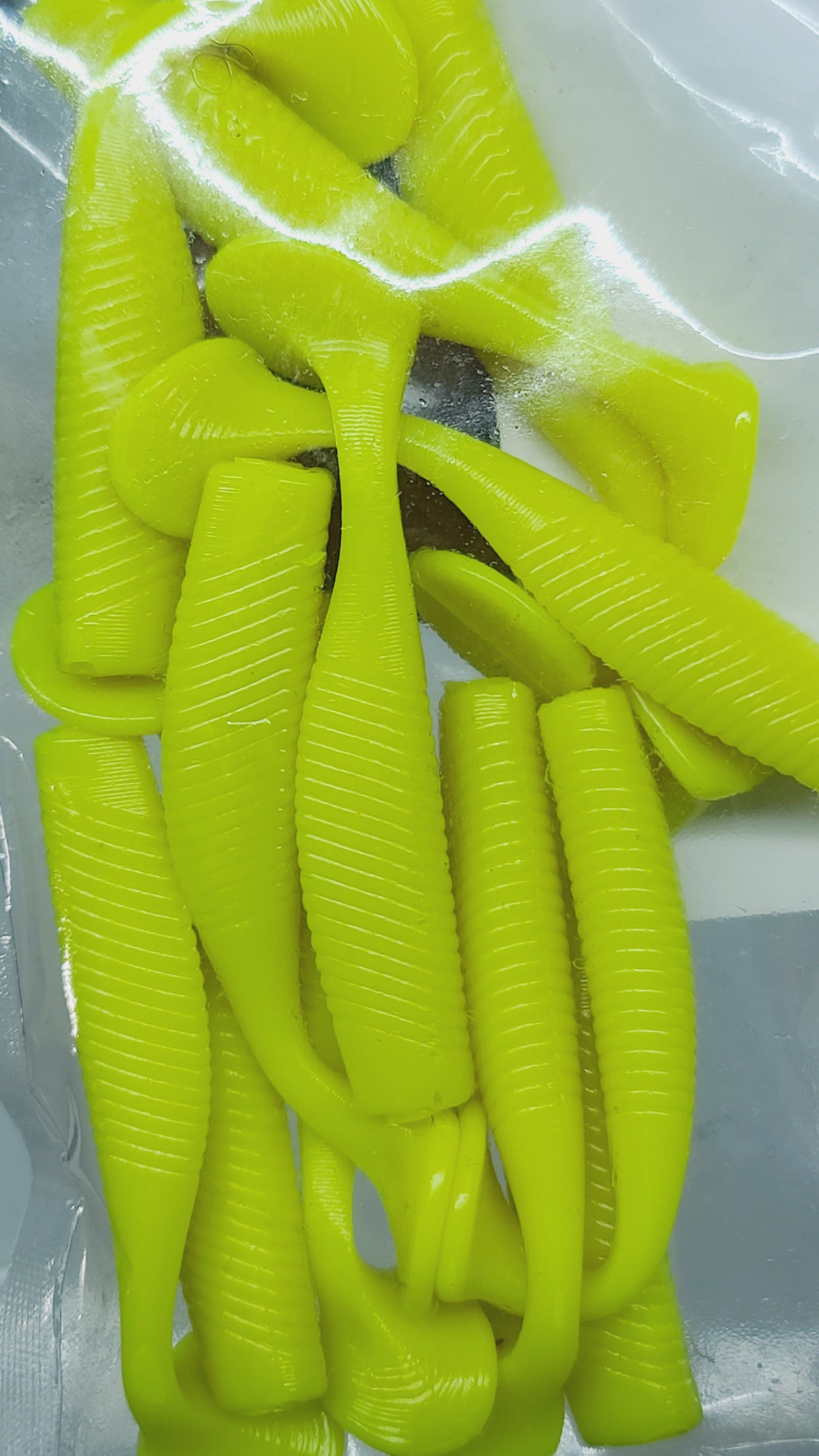 2¾" LIL HAMMER SWIMBAIT