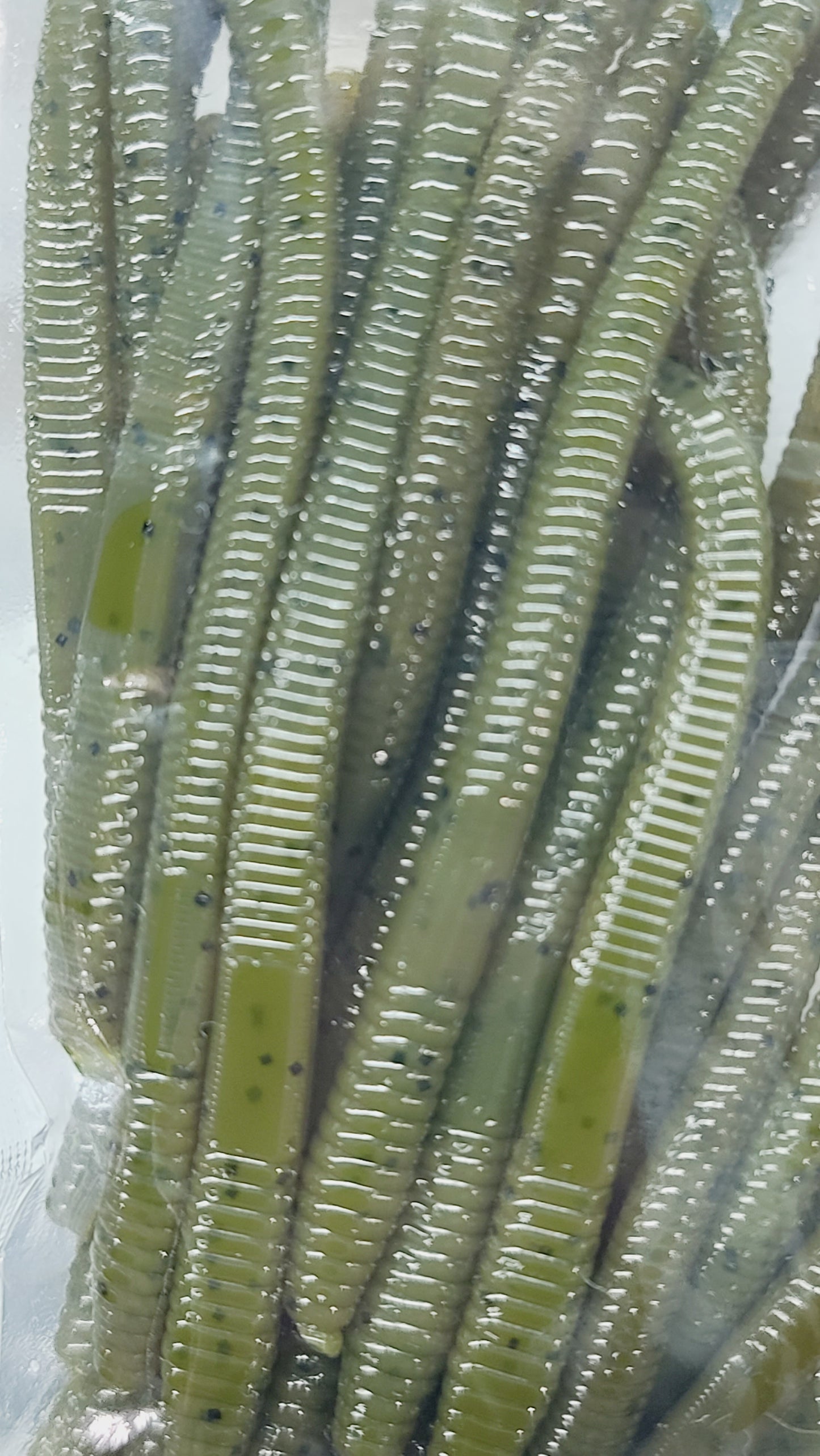 4" EPIC FINESSE WORM